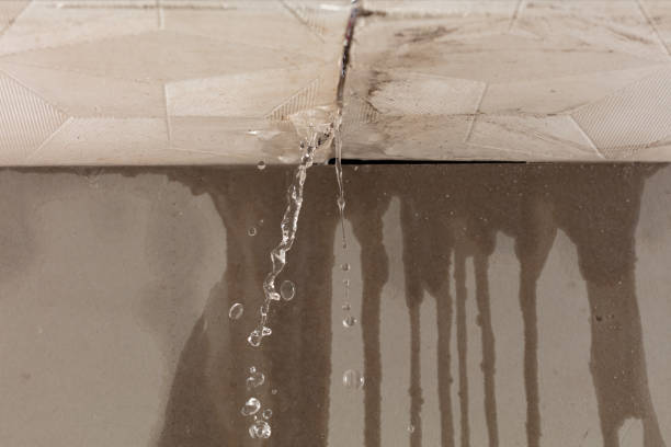 Professional Commercial Water Damage Restoration technician working in Luttrell, TN